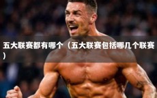 五大联赛都有哪个（五大联赛包括哪几个联赛）