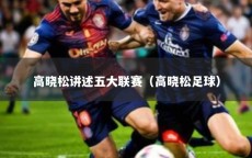 高晓松讲述五大联赛（高晓松足球）
