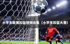 小学生联赛扣篮视频合集（小学生扣篮大赛）
