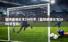 篮球感悟论文1000字（篮球感悟论文1000字左右）