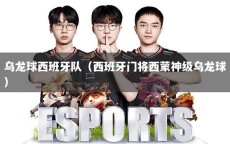 乌龙球西班牙队（西班牙门将西蒙神级乌龙球）