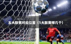 五大联赛对应位置（5大联赛哪几个）