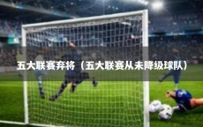 五大联赛弃将（五大联赛从未降级球队）