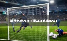 挑战杯世界杯（挑战杯赛事解读）