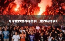 足球世界世界杯特刊（世界杯特辑）