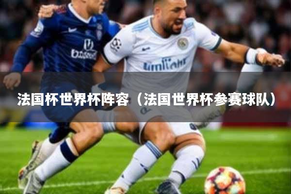 法国杯世界杯阵容(法国世界杯参赛球队)