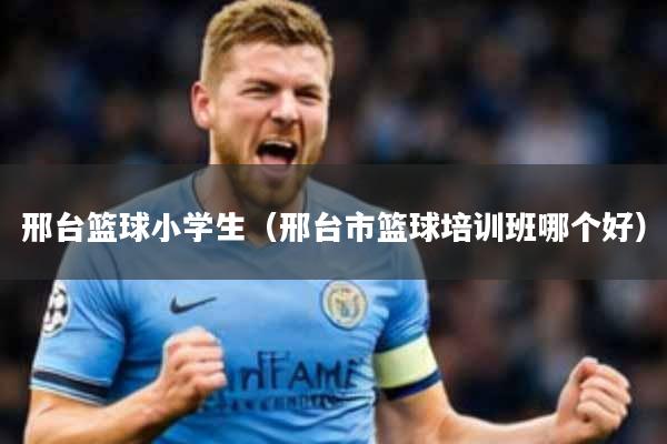 邢台篮球小学生(邢台市篮球培训班哪个好)